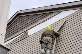 Best Storm Damage Siding Repair  in Oak Ridge, FL